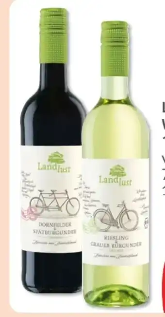 Budni Landlust Riesling & Grauer Burgunder Angebot