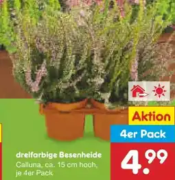Netto Marken-Discount Besenheide Angebot