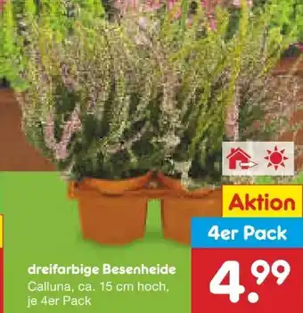 Netto Marken-Discount Besenheide Angebot