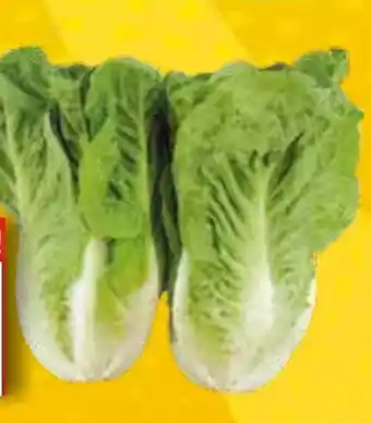 EDEKA Bandelt Bio Mini Romana Salatherzen Angebot