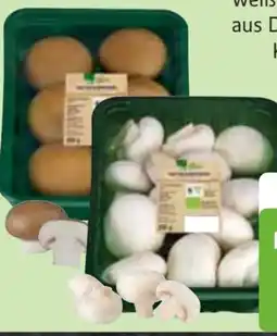 Edeka Edeka Bio Bio-Champignons Angebot