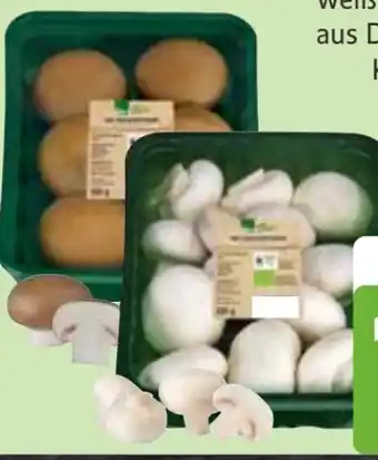 Edeka Edeka Bio Bio-Champignons Angebot