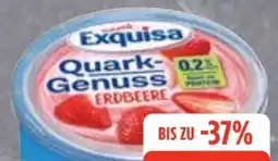 Edeka Exquisa Quark Genuss Angebot