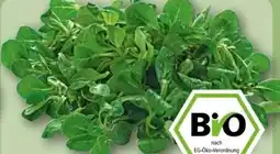 REWE Center Rewe Bio Feldsalat Angebot