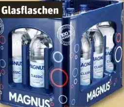 REWE Center Magnus Mineralwasser Angebot
