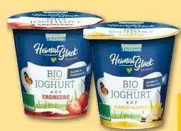 REWE Center Hofmolkerei Dehlwes Bio-Joghurt Angebot
