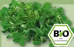REWE Rewe Bio Feldsalat Angebot