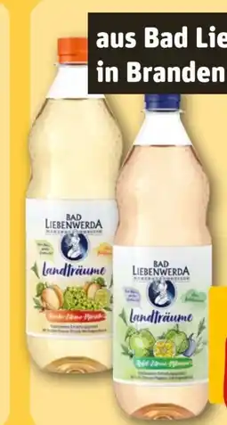 REWE Bad Liebenwerda Teeträume Angebot