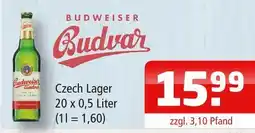 Getränke Oase Czech lager Angebot