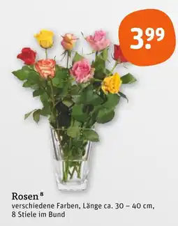 tegut Rosen Angebot