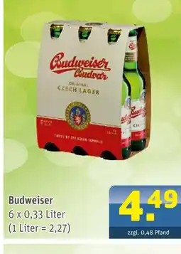 Getränke Arena Budweiser budweiser original czech lager Angebot