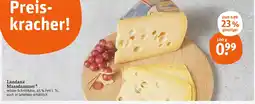 tegut Landana maasdammer Angebot