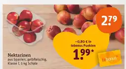 tegut Nektarinen Angebot