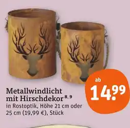 tegut Metallwindlicht mit hirschdekor, höhe 21 cm Angebot
