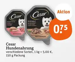 tegut Cesar hundenahrung Angebot