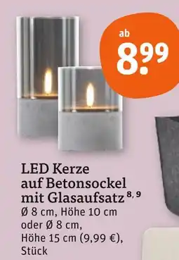tegut Led kerze auf betonsockel mit glasaufsatz Angebot