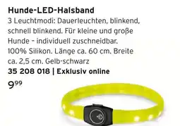 Tchibo Hunde-led-halsband Angebot
