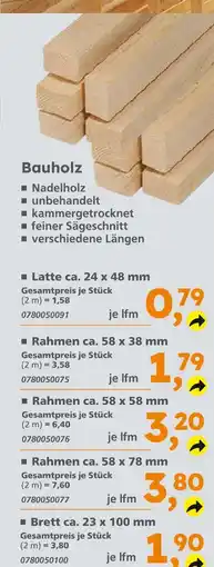 Globus Baumarkt Latte ca. 24 x 48 mm Angebot