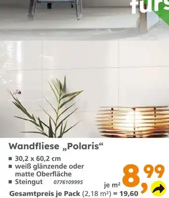 Globus Baumarkt Wandfliese polaris Angebot