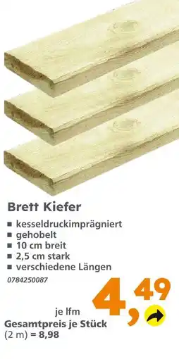 Globus Baumarkt Brett kiefer Angebot