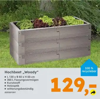 Globus Baumarkt Hochbeet „woody“ Angebot