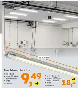 Globus Baumarkt Feuchtraumleuchte Angebot