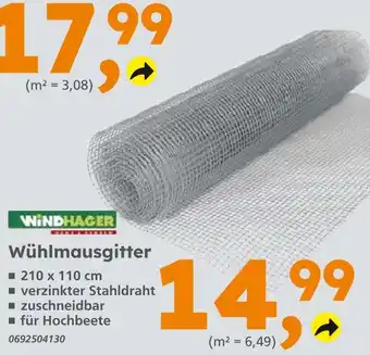 Globus Baumarkt Windhager wühlmausgitter Angebot