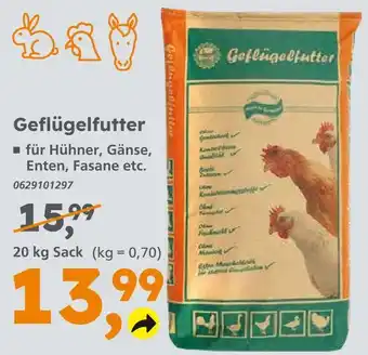 Globus Baumarkt Geflügelfutter Angebot
