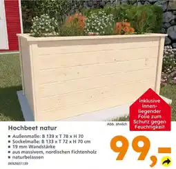 Globus Baumarkt Hochbeet natur Angebot