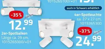 ROLLER Spot-serie fsm Angebot