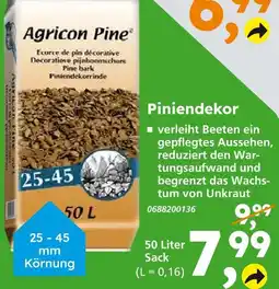 Globus Baumarkt Agricon pine piniendekor Angebot