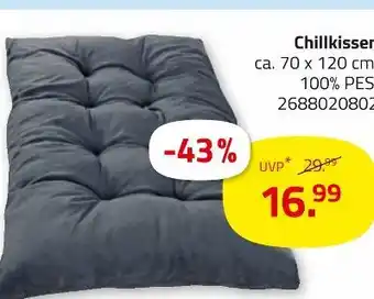 ROLLER Chillkissen Angebot