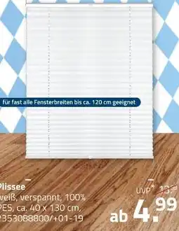 ROLLER Plissee Angebot