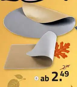 ROLLER Wende-platzmatte Angebot