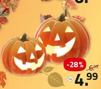 ROLLER Windlicht Angebot