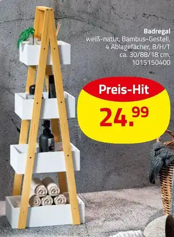 ROLLER Badregal Angebot