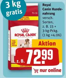 REWE Royal canin hundenahrung Angebot