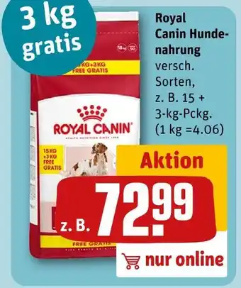 REWE Royal canin hundenahrung Angebot