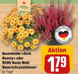 REWE Rewe beste wahl besenheide 'dark beauty' Angebot