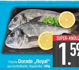 Edeka Frische dorade „royal“ Angebot