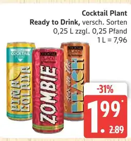 Marktkauf Cocktail plant pina colada Angebot