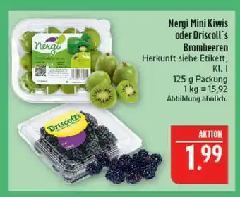 Marktkauf Nergi mini kiwis Angebot