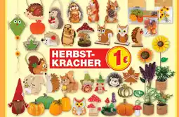Marktkauf Herbst-dekoration Angebot