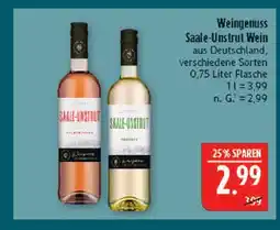 Marktkauf Saale-unstrut wein rosé Angebot