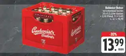 Edeka Budweiser budvar budweiser budvar Angebot