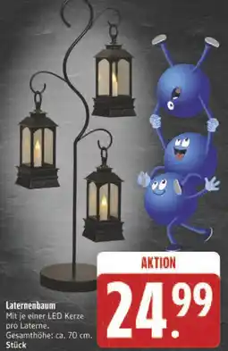 Edeka Laternenbaum Angebot
