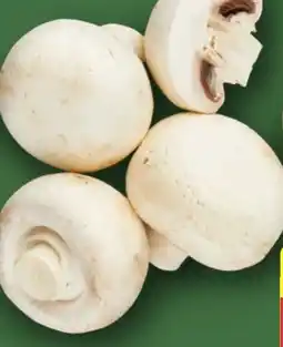 Aldi Nord Kulturchampignons Angebot