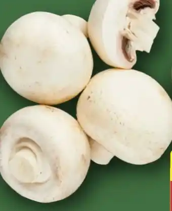 Aldi Nord Kulturchampignons Angebot