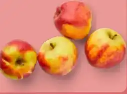 Aldi Nord Äpfel Elstar Angebot