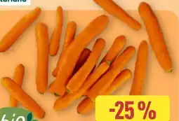 Aldi Nord Speisemöhren Angebot
